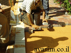 הנחה לפי תוכנית